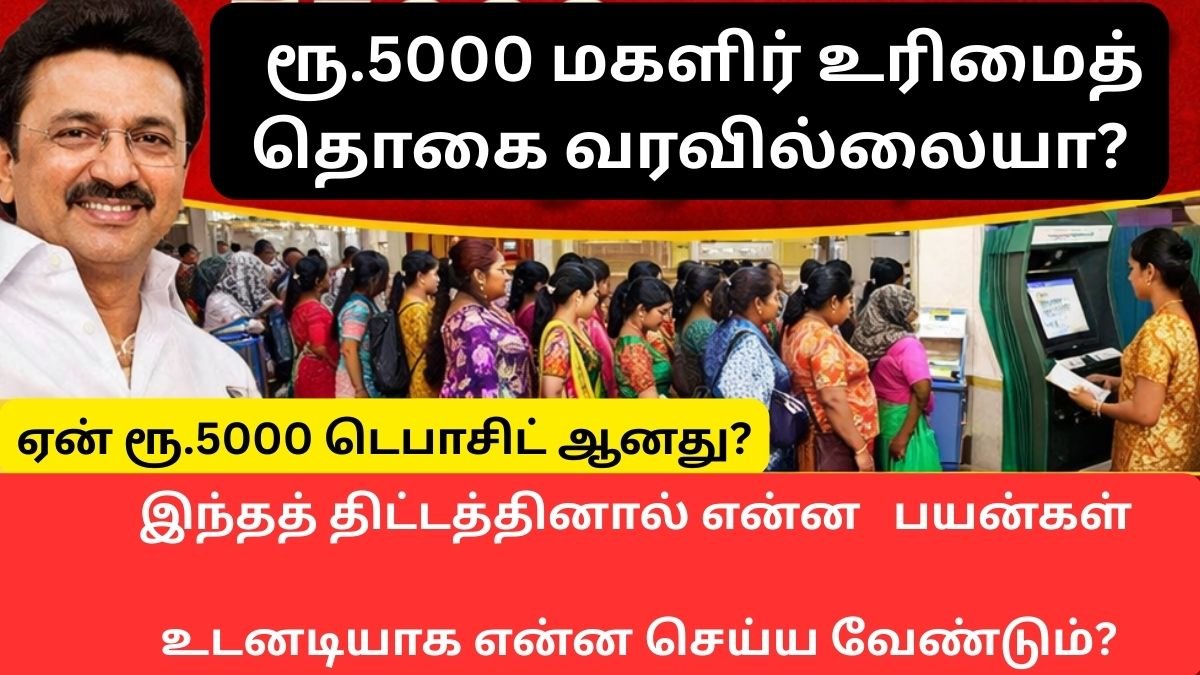 ₹5000 Magalir Urimai Thogai Not Credited? What Is the Reason — What Should You Do Immediately?